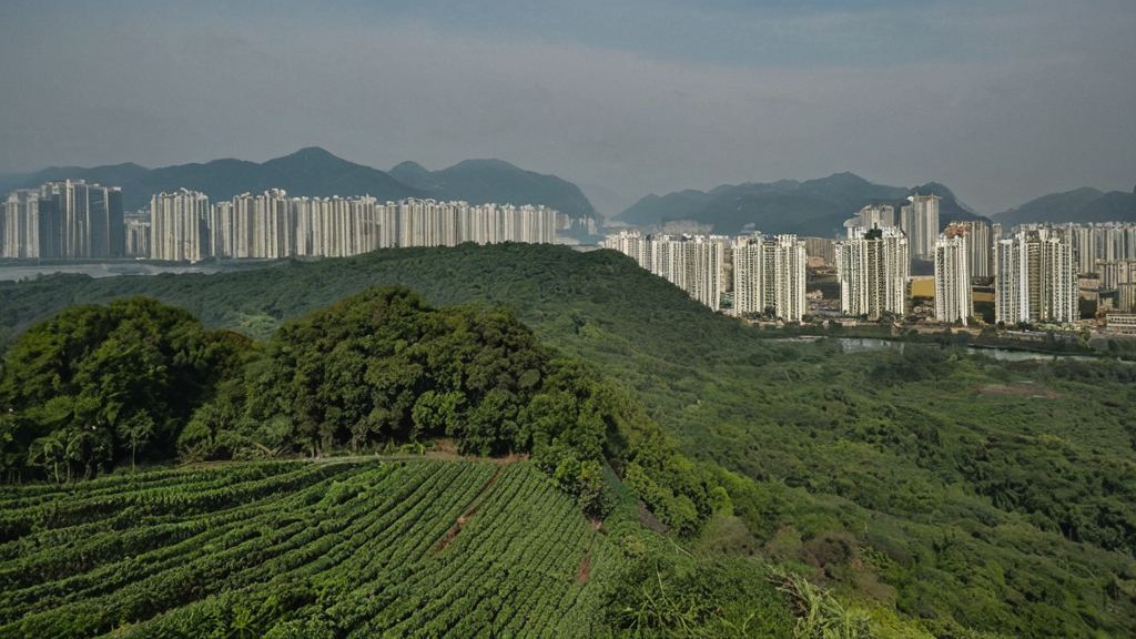 这个城市值得一去,娱乐吃瓜老公人脉广引发热议