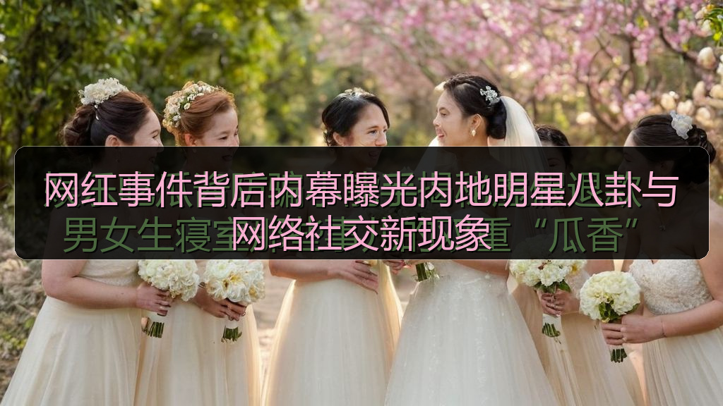 网红事件背后内幕曝光内地明星八卦与网络社交新现象