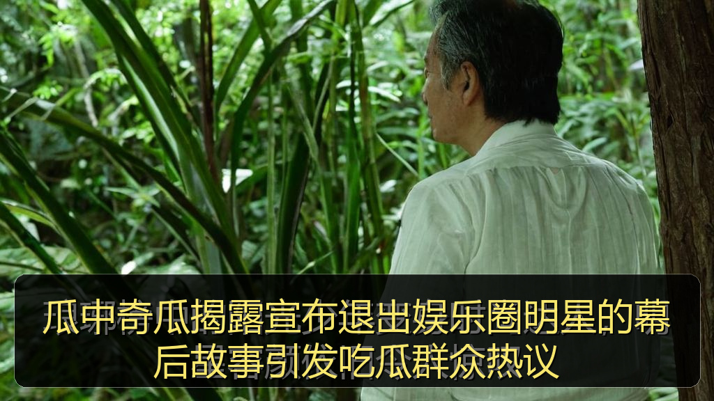 瓜中奇瓜揭露宣布退出娱乐圈明星的幕后故事引发吃瓜群众热议