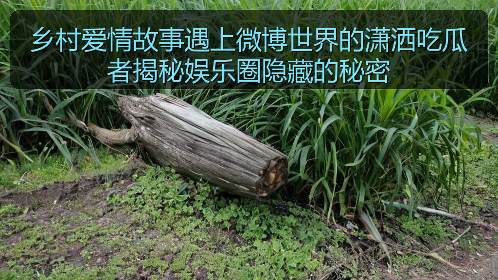 乡村爱情故事遇上微博世界的潇洒吃瓜者揭秘娱乐圈隐藏的秘密