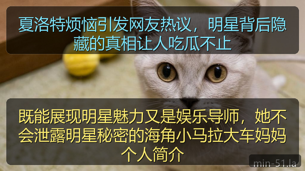 夏洛特烦恼引发网友热议，明星背后隐藏的真相让人吃瓜不止