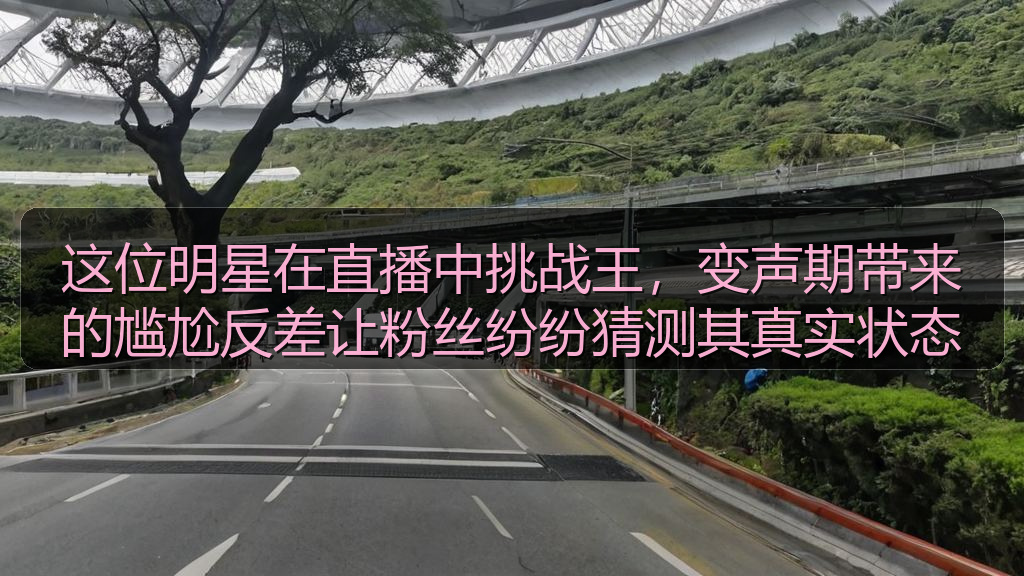 这位明星在直播中挑战王，变声期带来的尴尬反差让粉丝纷纷猜测其真实状态